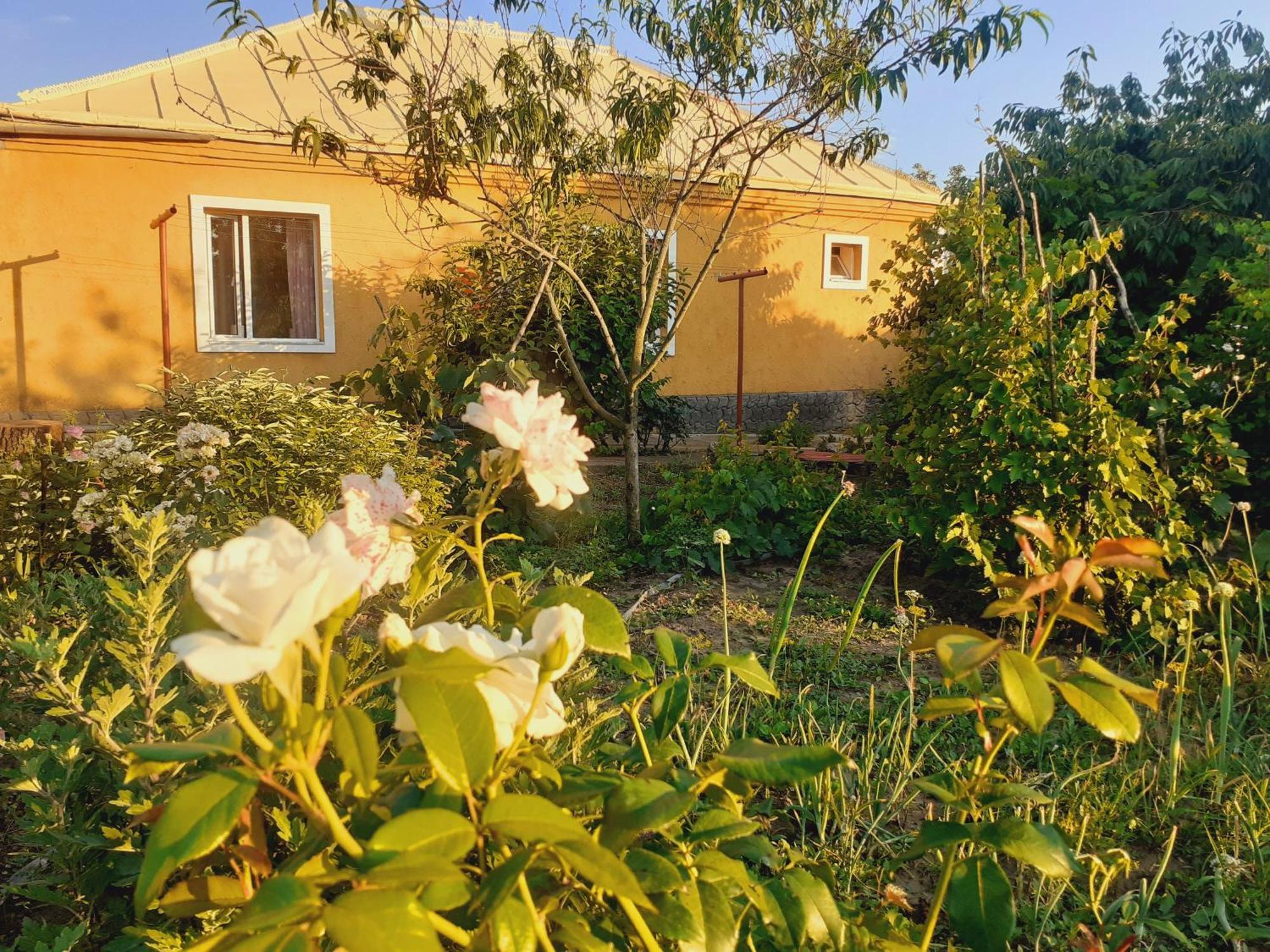 Apartamento Sion In Ulmu Exterior foto