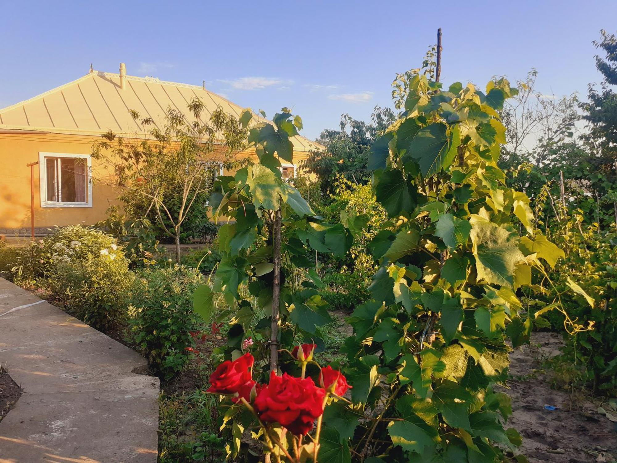 Apartamento Sion In Ulmu Exterior foto